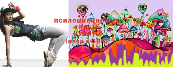 тгк Иннополис