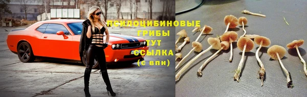 тгк Иннополис