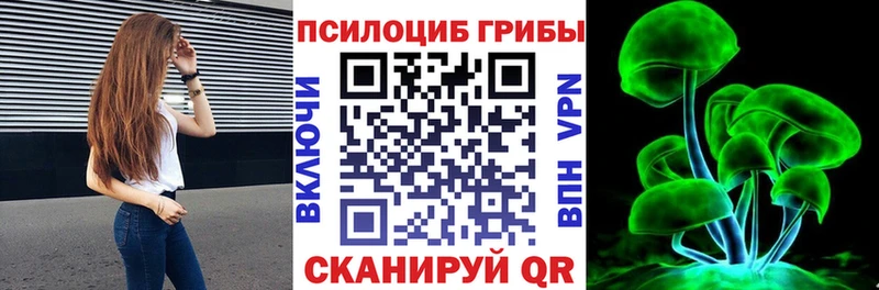 Псилоцибиновые грибы Magic Shrooms  Купить где  Городовиковск 